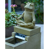 Photo of Campania Mini Element Zen Frog Fountain - Exclusively Campania